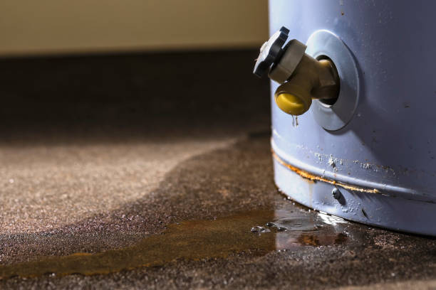 Best Water damage cleanup near me  in Woodruff, SC
