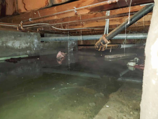 Best 24/7 water damage repair  in Woodruff, SC