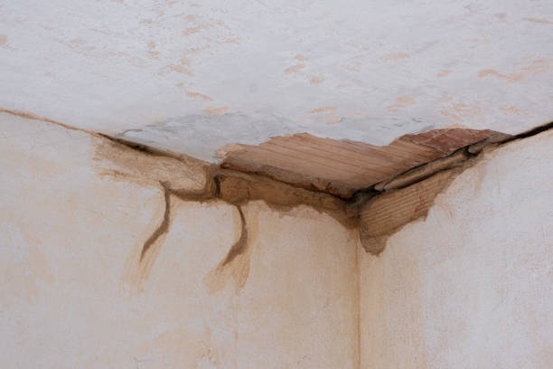  Woodruff, SC Water damage restoration Pros