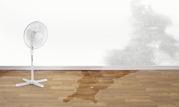 Best Water damage restoration services  in Woodruff, SC