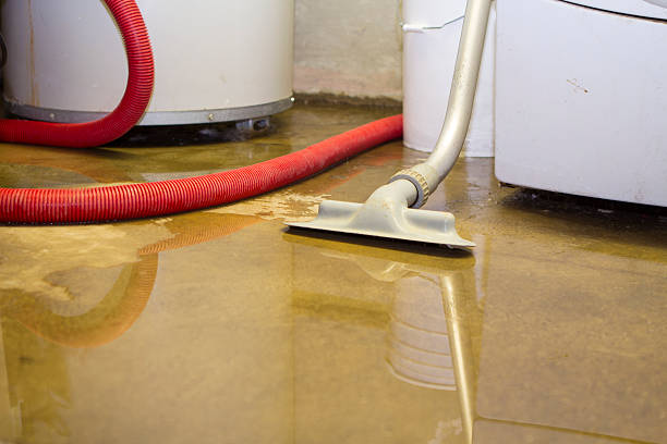 Best Professional water damage repair  in Woodruff, SC