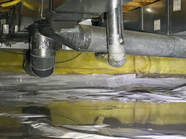 Best Professional water damage repair  in Woodruff, SC